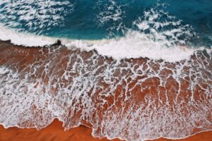 Jak rozpoznać bursztyn?