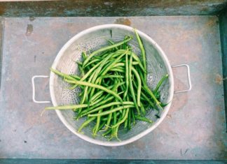 Jak zamrozić fasolkę szparagową Jak zamrozić fasolkę szparagową
