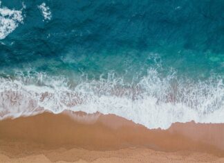 Jak rozpoznać bursztyn?