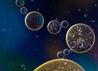 Ile oleju 1.9 TDI AXB? Ile oleju 1.9 TDI AXB?