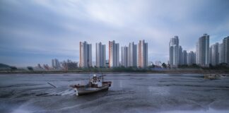 Ile za złomowanie poloneza?