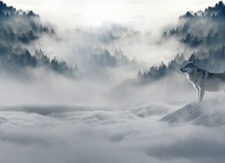 Jakie AT na zimę? Jakie AT na zimę?