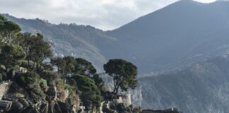 Ile kosztuje samochód Koenigsegg?