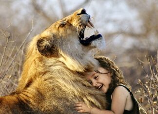 Jak uzyskać lepszy bas? Jak uzyskać lepszy bas?