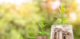 W jakie klasyki warto inwestować?