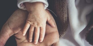 W jakiej cenie są maluchy?