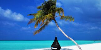 Ile pali Laguna 2.0 turbo?