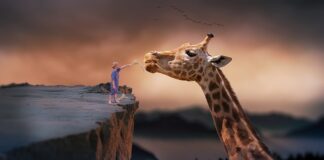 Czy można żyć w kamperze?