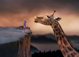 Czy można żyć w kamperze? Czy można żyć w kamperze?