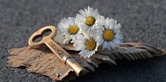 Jak otworzyć dach w Camaro?