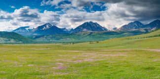 Co oznacza MT na oponie?