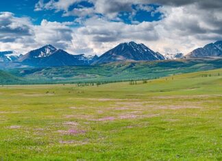 Co oznacza MT na oponie? Co oznacza MT na oponie?