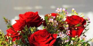 Ile kosztuje najdroższy Fiat 126p?