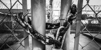 Czy Kia Rio ma ocynkowane blachy?