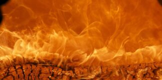 Jaka marka kampera najlepsza?