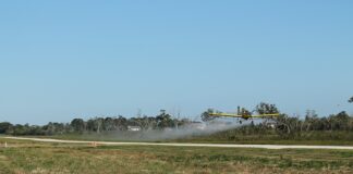 Czy warto kupić samochód Dacia Duster?