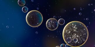 Ile oleju do silnika Kia Carens 20 CRDI?