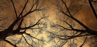 Ile aut mieści się na lore?