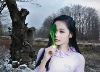 Ile sezonów na oponach całorocznych? Ile sezonów na oponach całorocznych?