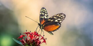 Gdzie najlepiej zamontować antenę CB?