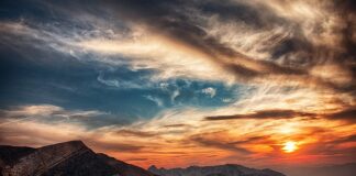 Do czego pasuje złota torebka?