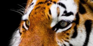 Jak Przepłukać nos wodą?