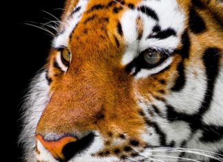 Jak Przepłukać nos wodą? Jak Przepłukać nos wodą?