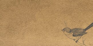 Jak prasować mankiety na spinki?