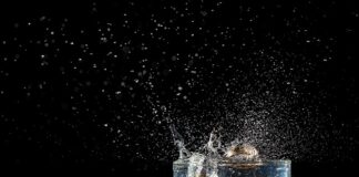 Czy wesele powinno się zwrócić?