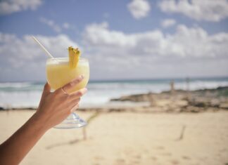 Do czego służą piny? Do czego służą piny?