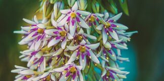 Czy wypada iść w kozakach na sylwestra?