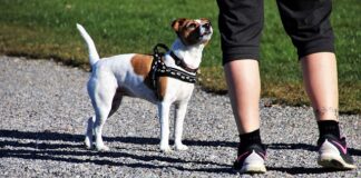 Jakie adidasy modne w 2023?