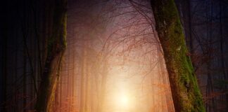 Czy można chodzić w sandałach i skarpetach?