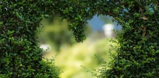 Jak utrzymać kształt butów?