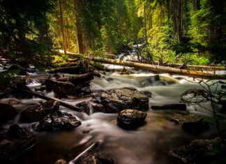 Czy wełniane rękawiczki są ciepłe? Czy wełniane rękawiczki są ciepłe?