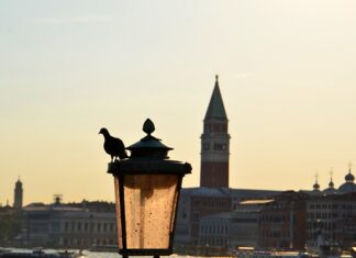 Gdzie można kupić prawidła do rozciągania butów?