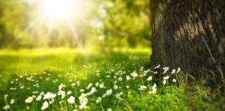 Jak prać białe buty w pralce?