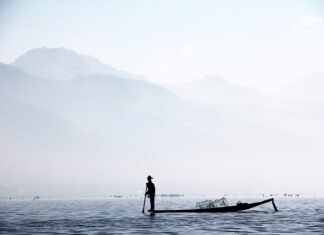 Co to znaczy bambusowe skarpetki? Co to znaczy bambusowe skarpetki?