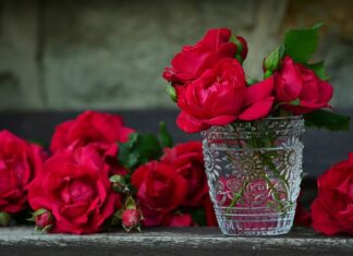 Do jakiego pojemnika wyrzucić spleśniały chleb? Do jakiego pojemnika wyrzucić spleśniały chleb?