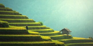 Jak się nazywa bal 8 klasisty?