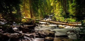 Gdzie kupić wełniane rękawiczki?