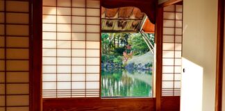 Czy brak jednej nerki to niepełnosprawność?