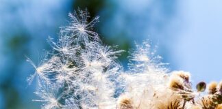 Jak zamaskować zarysowania na butach?