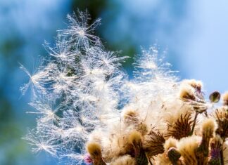 Jak zamaskować zarysowania na butach? Jak zamaskować zarysowania na butach?