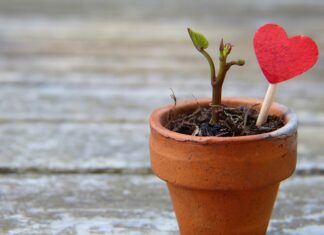 Czy szewc może rozciągnąć buty? Czy szewc może rozciągnąć buty?