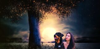 Za kogo przebrać dziewczynkę?