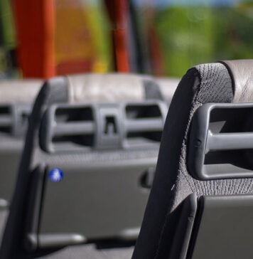 Spreewald wycieczki jednodniowe i weekendowe